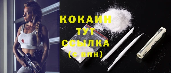 кокс Алексин