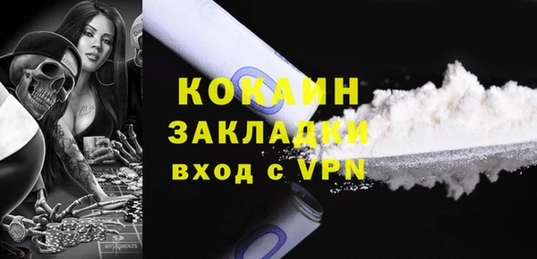 кокс Алексин