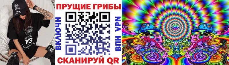 Галлюциногенные грибы мицелий Солигалич